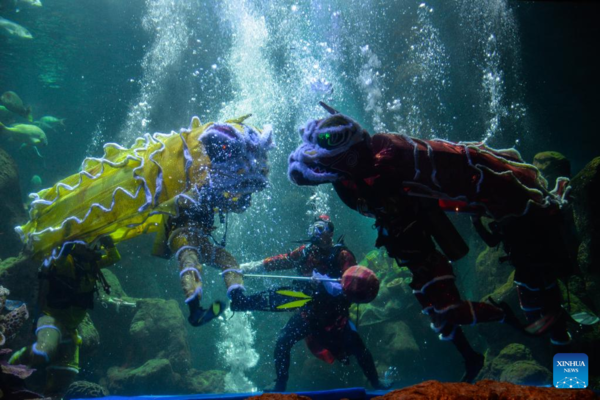 Divers Perform Lion Dance Under Water to Celebrate Chinese New Year in Jakarta, Indonesia