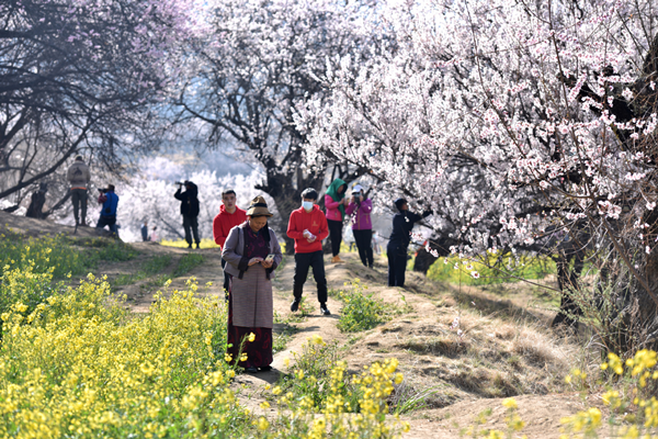 Leisure Travel to Rural Areas Promoted as Part of Vitalization Work