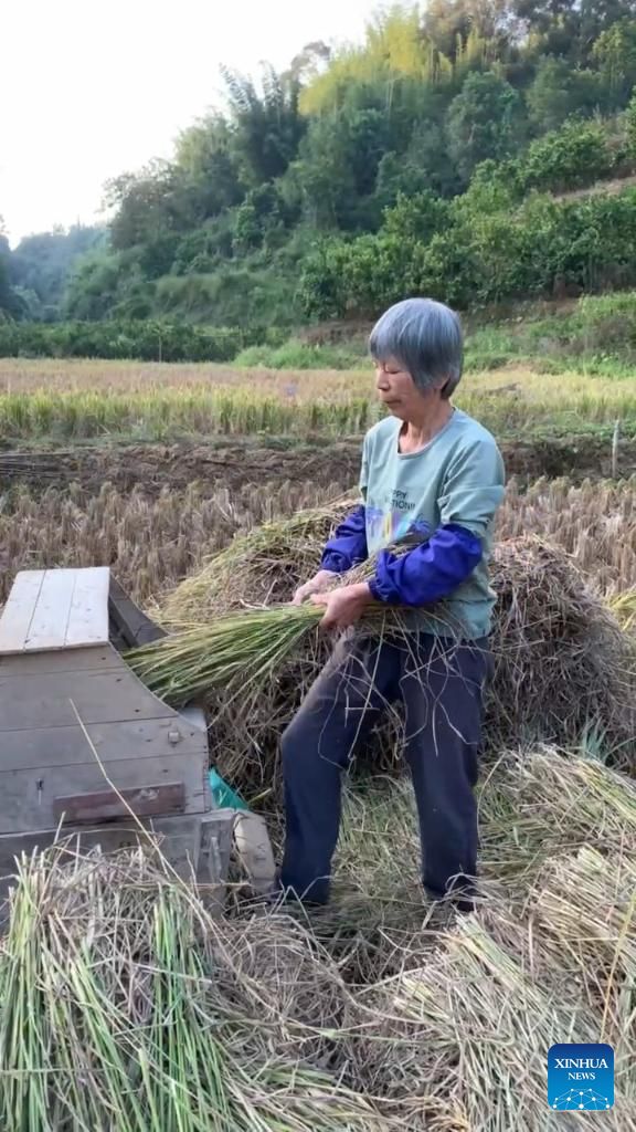 Through China: Never too late!  66-year-old farmer becomes online sensation as skilled drummer