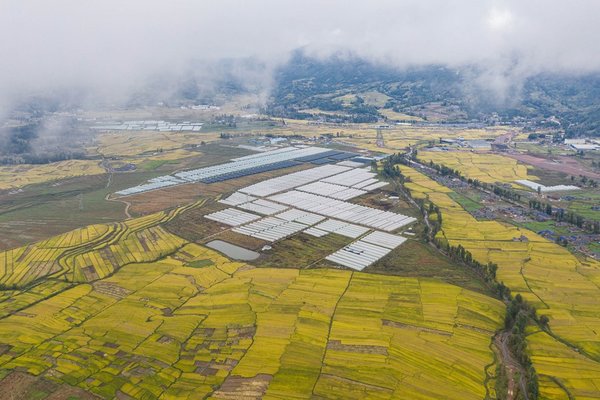 Xi Story: Lifeline of Prosperity: Farmland Protection