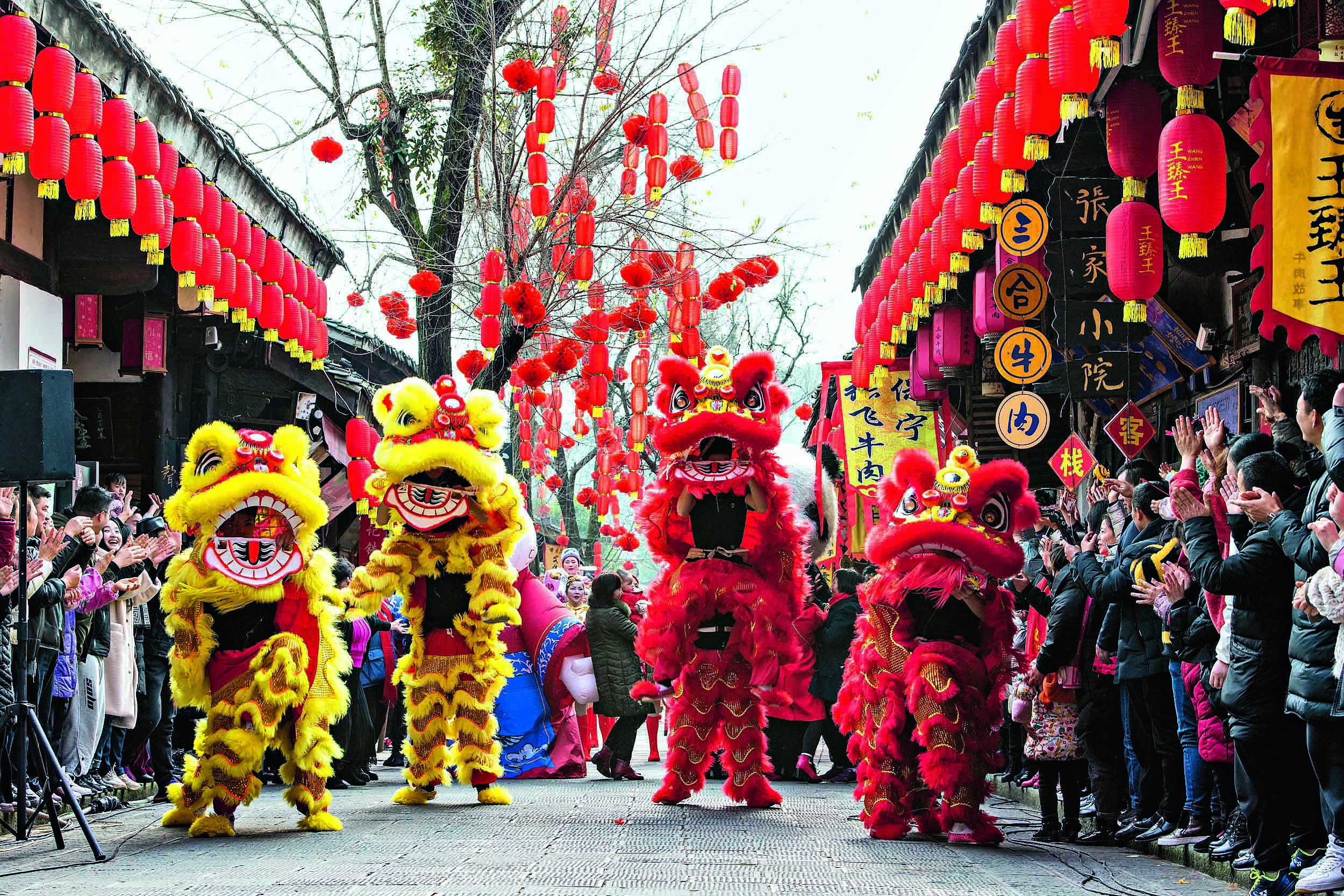 Cultural confidence glows via new Chinese