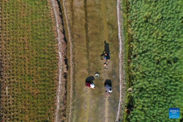 Farmers Busy with Spring Farming Across China