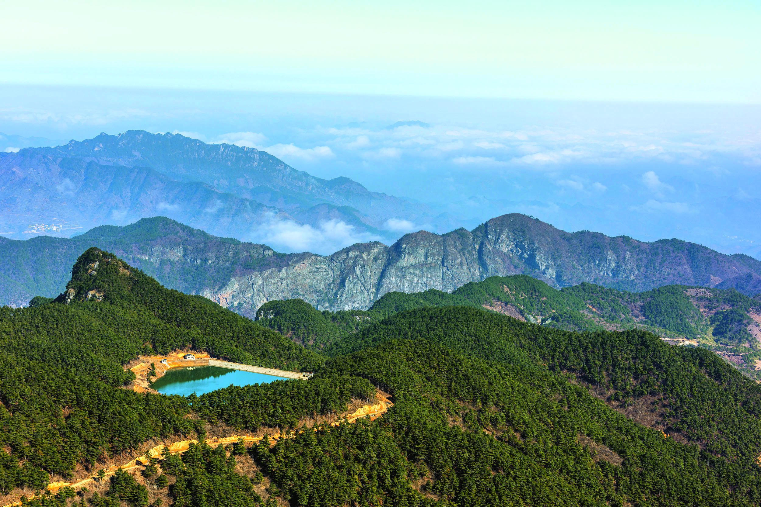 Tianmu Mountain: A Treasure Chest of Flora and Fauna