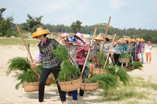 Indefatigable Team of Women Transform Barren Coastal Area of Hainan with Largescale Tree