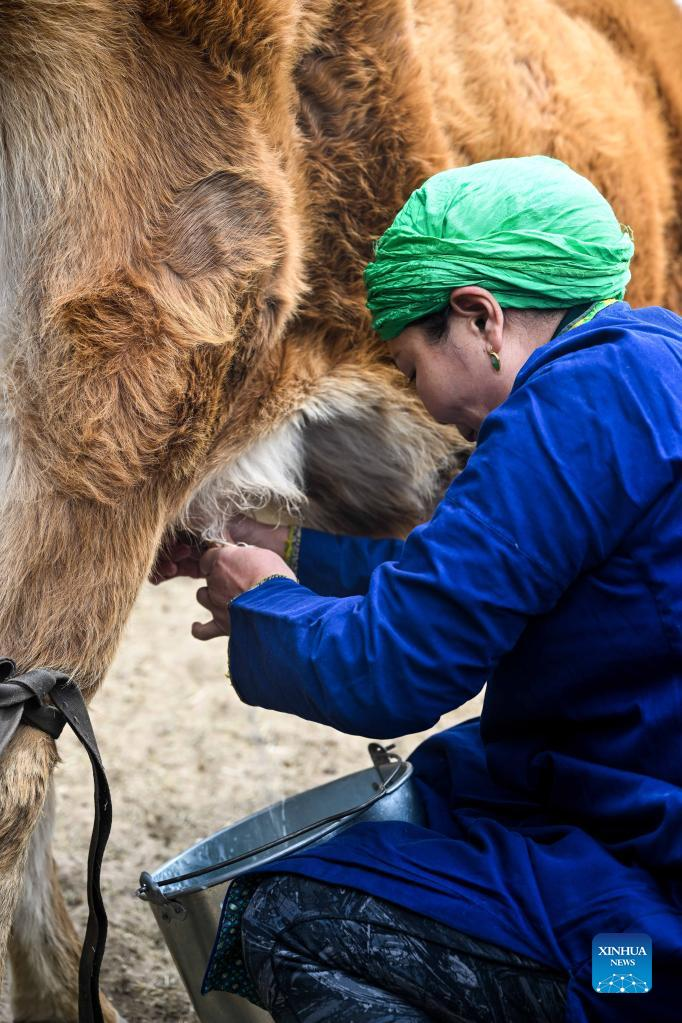 Pic Story: National Intangible Inheritor of Chagaanyidee in Inner Mongolia