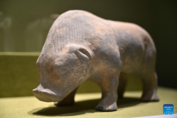 Animal-Shaped Cultural Relics Exhibited at Hainan Museum
