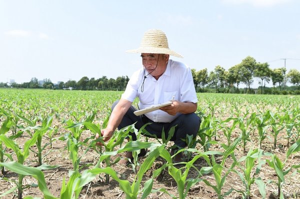 Xi Story: Xi's Letter Inspires Farmers to Contribute to Food Security