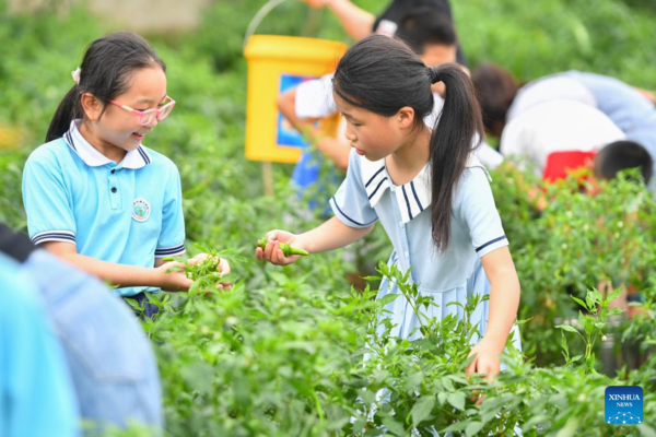 Children Experience Agrarian Culture in Central China's Hunan