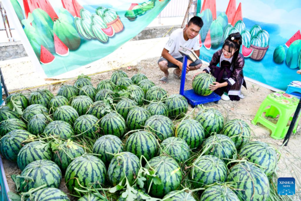 Watermelon Sales Boost Villagers' Income in Rongjiang County, Guizhou