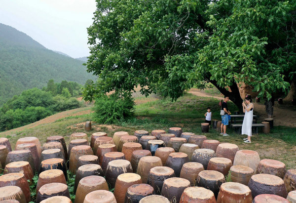 Pottery Brings Vigor to Henan Village