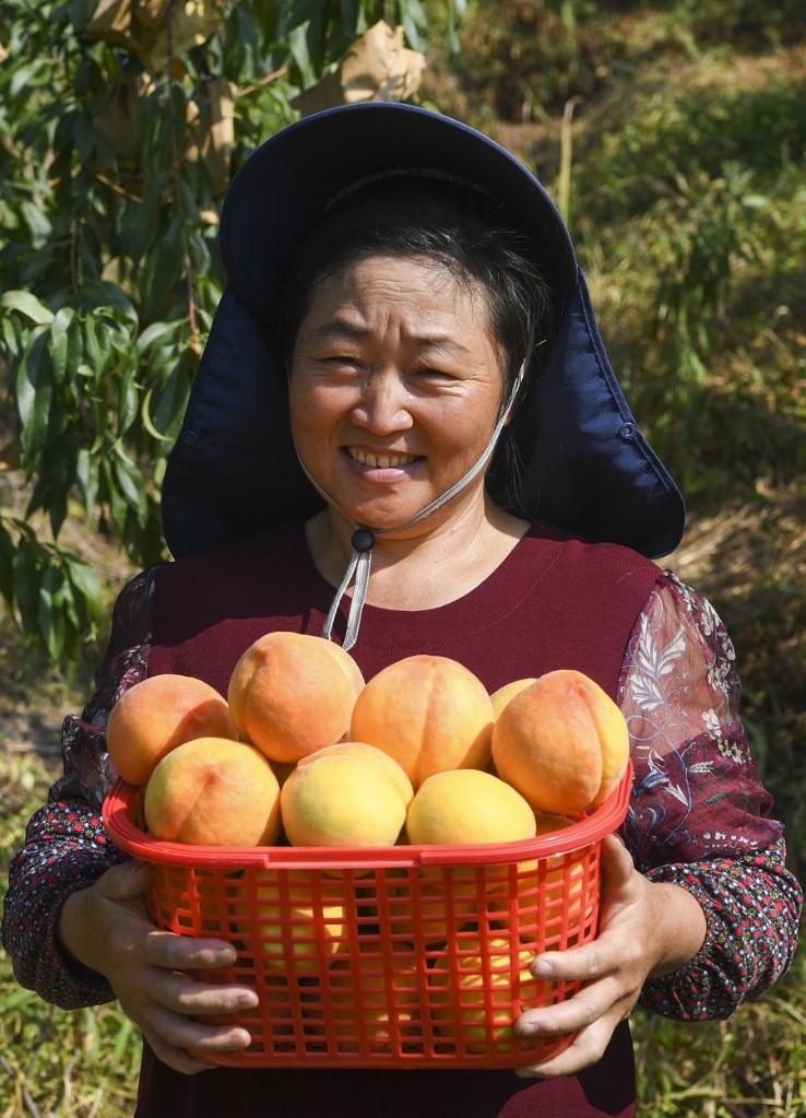 Fruit Planting Helps Improve Environment and Villagers' Income in SW China's Chongqing