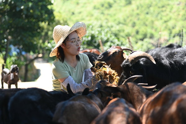 Woman Raises Goats to Help Vitalize Rural Hometown