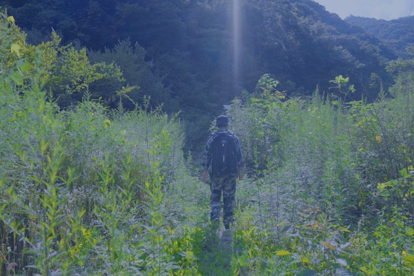 Generation Z Forest Keeper: To Protect Nature Is to Ensure the Survival of Mankind