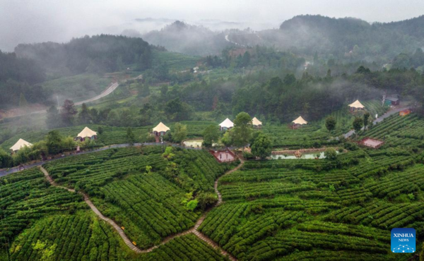 County in China's Shaanxi Transforms Ecological Resources to Green Economy