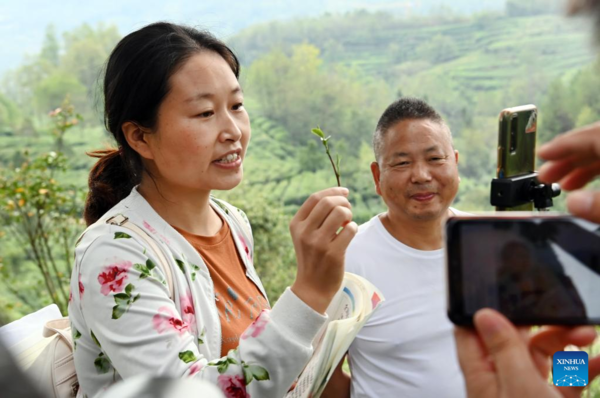 County in China's Shaanxi Transforms Ecological Resources to Green Economy