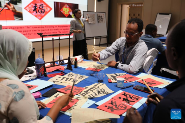 Chinese Culture Program for Young Entrepreneurs Held in Djibouti
