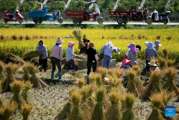 China Celebrates Farmers' Harvest Festival