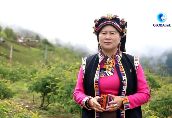 Woman Delegate | Chen Wanghui: Creating Rosy Life in SW China's County