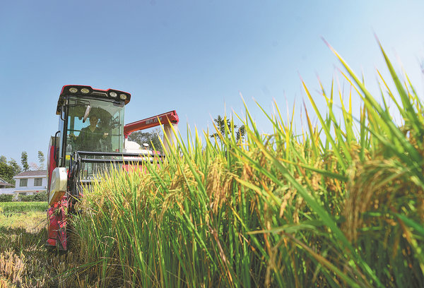 Modernization, Mechanization Make Farmer's Life a Breeze