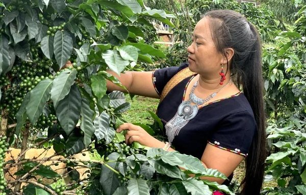 Coffee Grown by Women of Wa Ethnic Group in SW China's Yunnan Sent as a Gift at UN