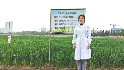 Reaping the Rewards of a Lifetime in the Fields