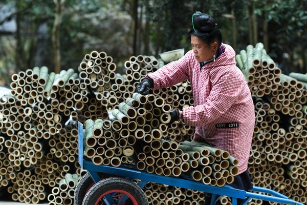 Bamboo Industry Revitalizes Old Revolutionary Base