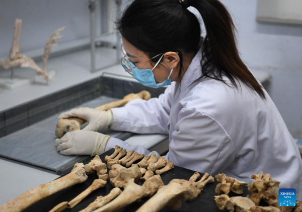 Pic Story of Post-90s Archaeologist in Central China