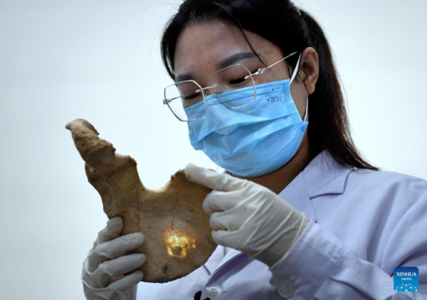 Pic Story of Post-90s Archaeologist in Central China