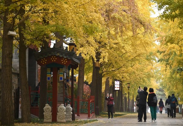 Old Summer Palace Exhibition Opens in Beijing