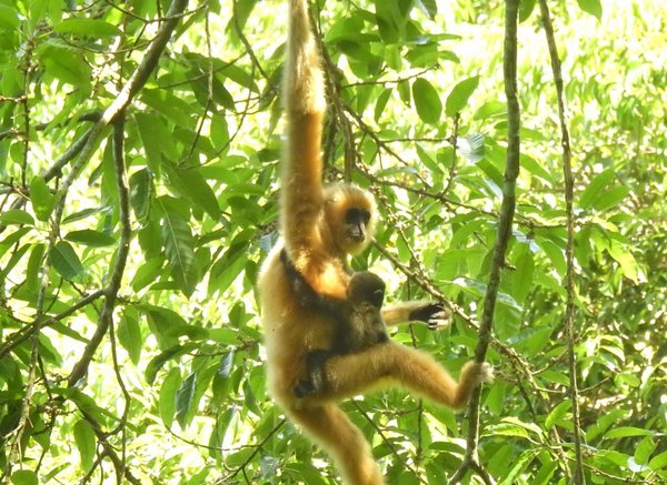 China Aims to Build World's Largest National Park System