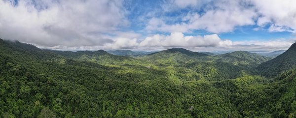 China Aims to Build World's Largest National Park System