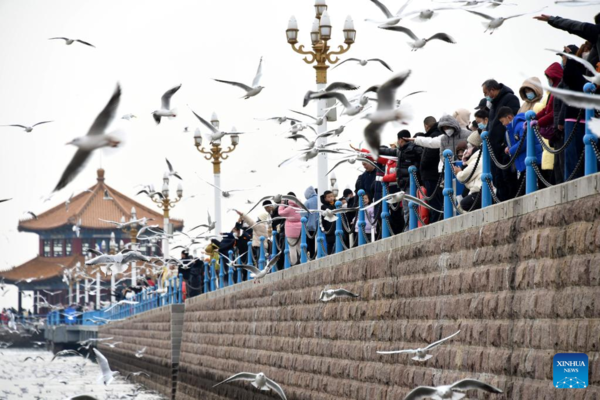 People Have Fun During Spring Festival Holiday