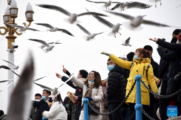 People Have Fun During Spring Festival Holiday