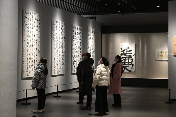 Citizens Enjoy Cultural Feast at Art Museum in E China's Suzhou During Spring Festival Holiday