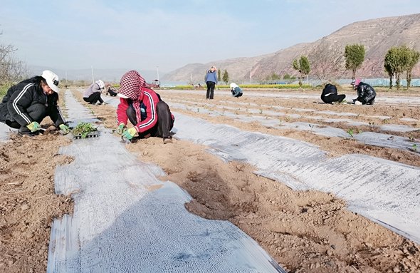 University Graduate Develops Cooperative, Helps Farmers Attain Wealth