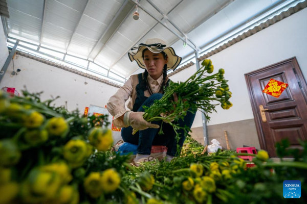 Pic Story of Flower-Selling Live Streamer in China's Yunnan