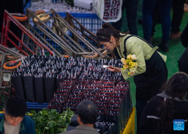 Pic Story of Flower-Selling Live Streamer in China's Yunnan