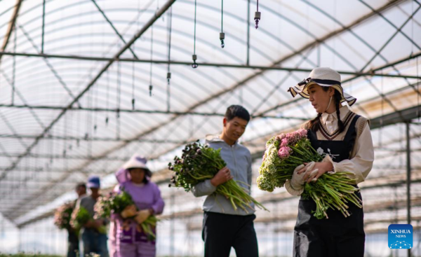 Pic Story of Flower-Selling Live Streamer in China's Yunnan