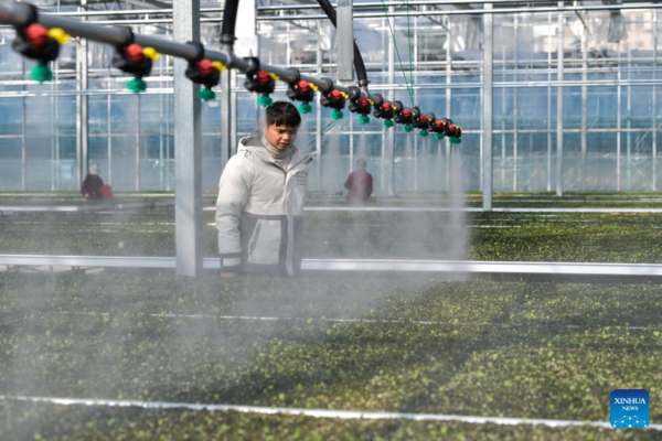 Spring Ploughing and Seedling Raising Start in SW China's Guizhou
