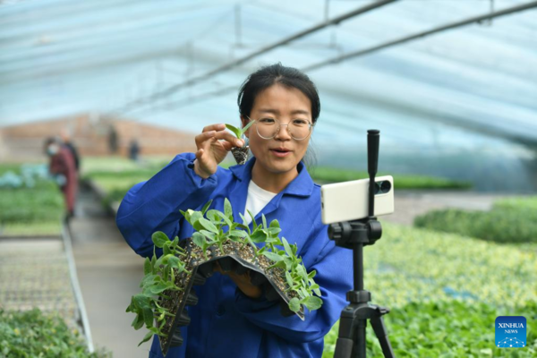 Pic Story: Woman Agricultural Entrepreneur Devoted to Vegetables Business