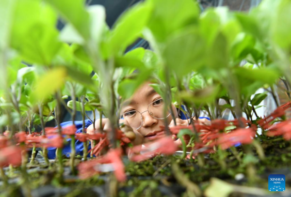 Pic Story: Woman Agricultural Entrepreneur Devoted to Vegetables Business