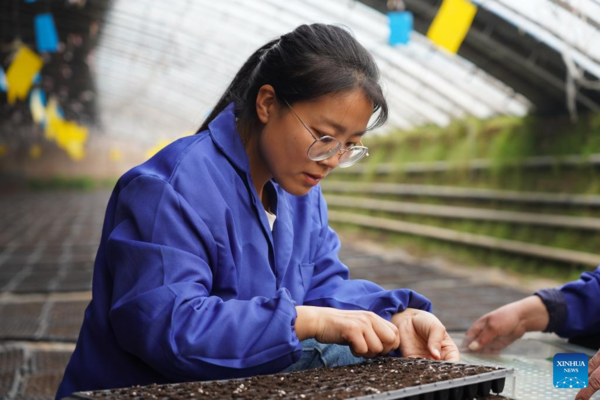 Pic Story: Woman Agricultural Entrepreneur Devoted to Vegetables Business