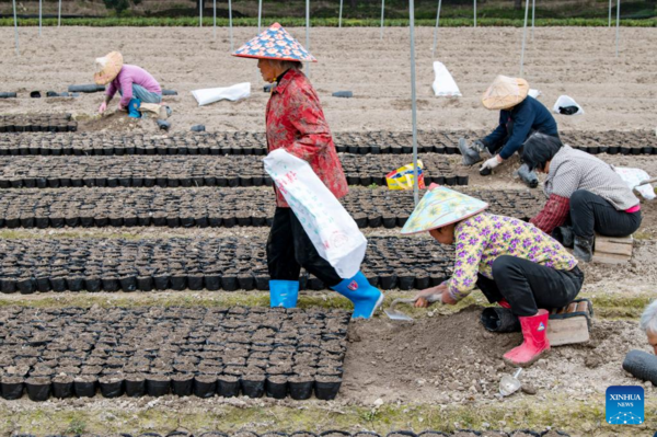 Arrival of Yushui Sees Wave of Spring Farming Activities Across China