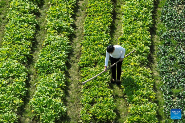 Arrival of Yushui Sees Wave of Spring Farming Activities Across China