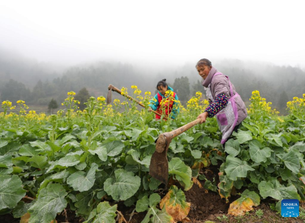 Arrival of Yushui Sees Wave of Spring Farming Activities Across China