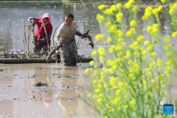 Arrival of Yushui Sees Wave of Spring Farming Activities Across China