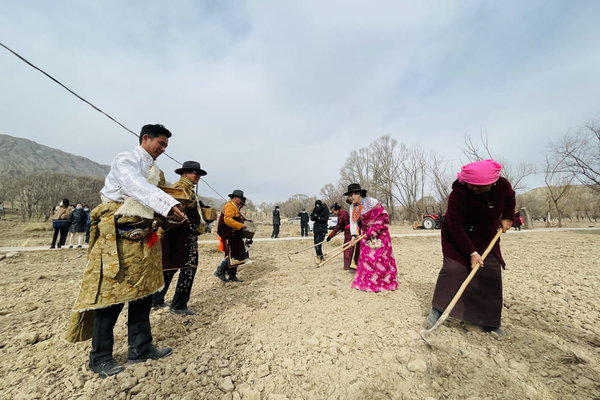 Farmers in NW China's Qinghai Celebrate Start of Spring Farming