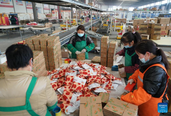 Economic Watch: Working Near Home New Option for Migrant Workers in West China