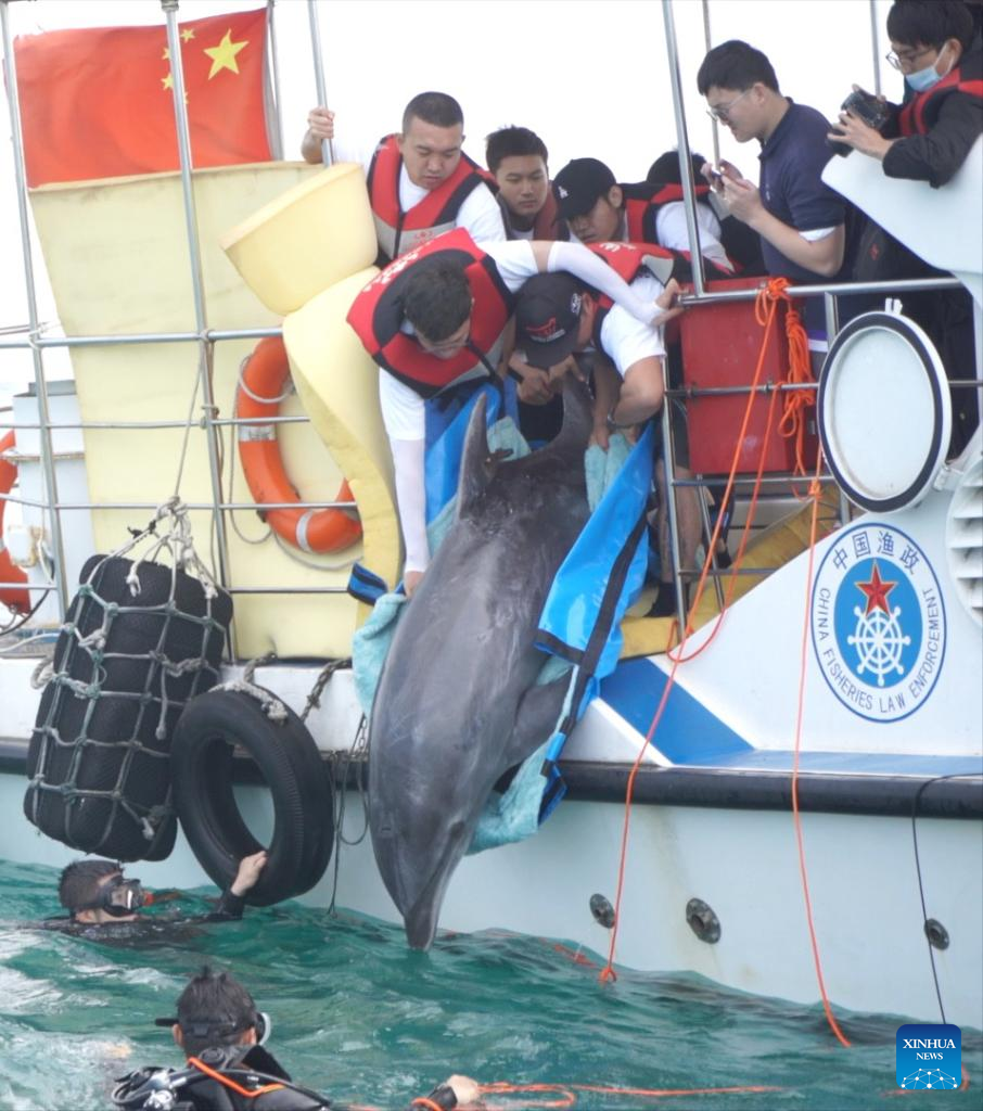 Feature: Guardian of Marine Species in China's Hainan