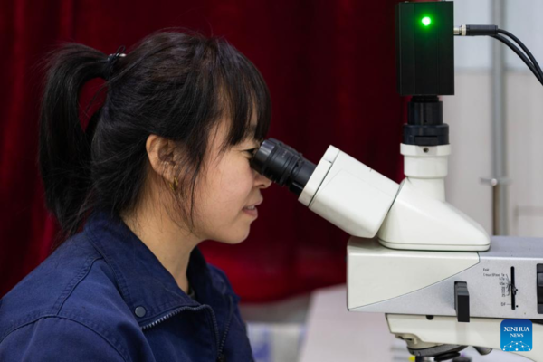 Women Workers in NE China Play Active Role in Various Workplaces